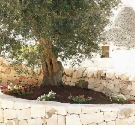 Casa Tra I Trulli Villa Martina Franca Room photo