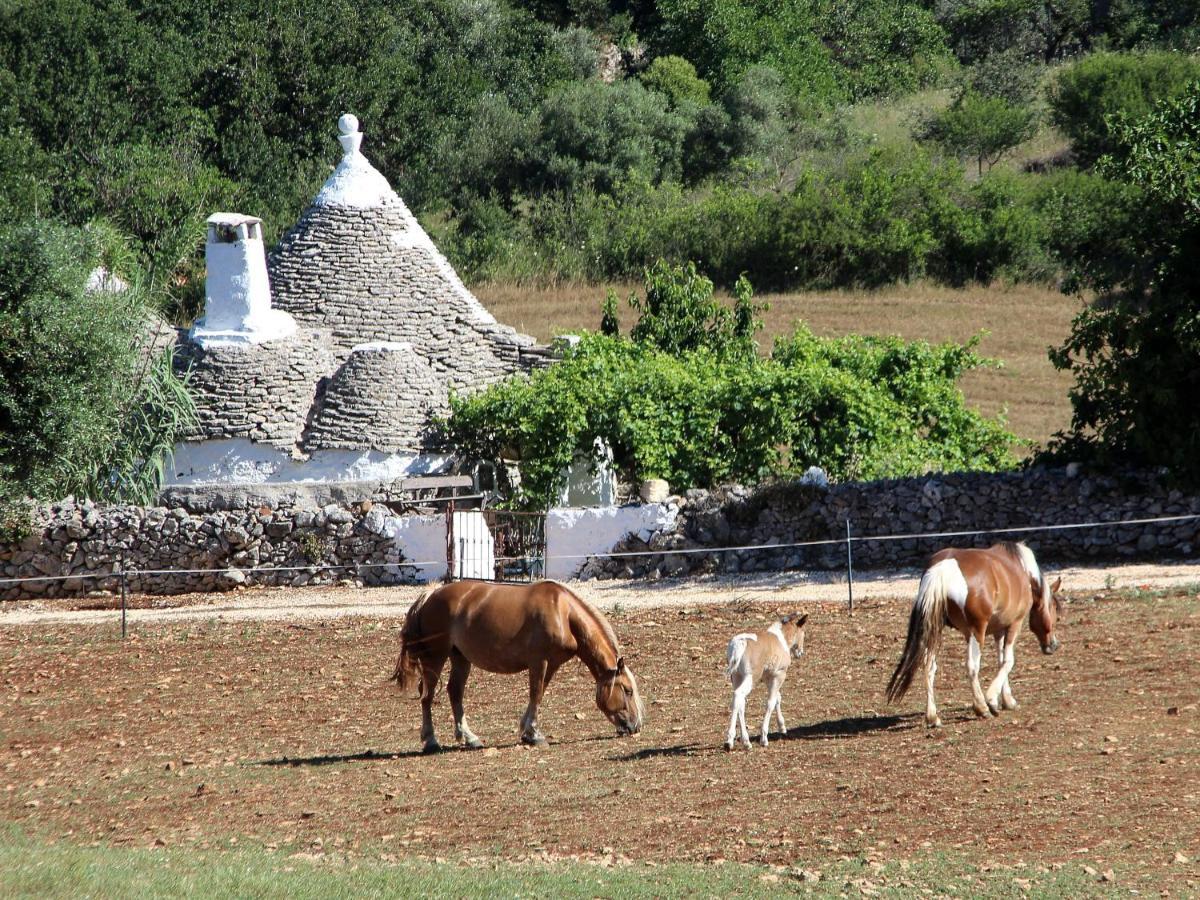 Casa Tra I Trulli * Martina Franca