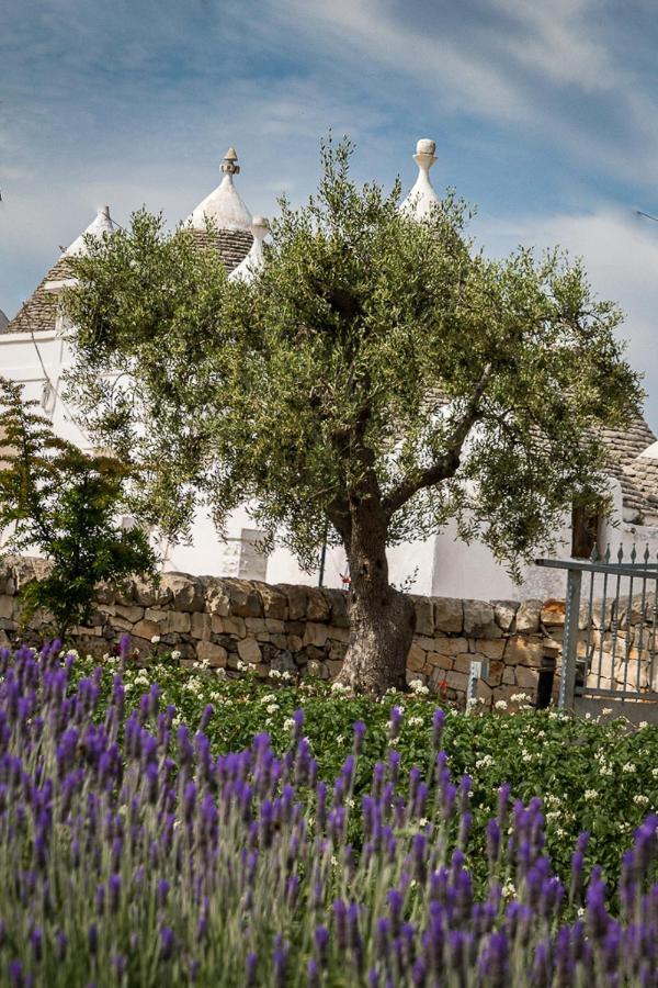 Casa Tra I Trulli Holiday home Martina Franca