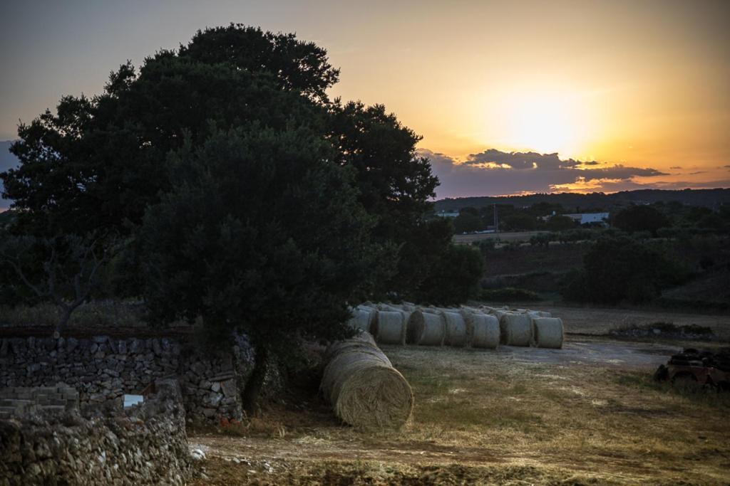 Casa Tra I Trulli Ferienhaus Martina Franca