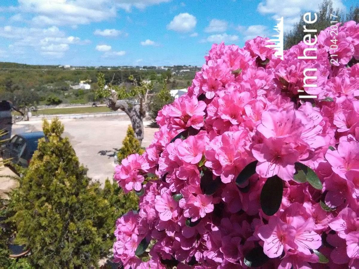 Holiday home Casa Tra I Trulli