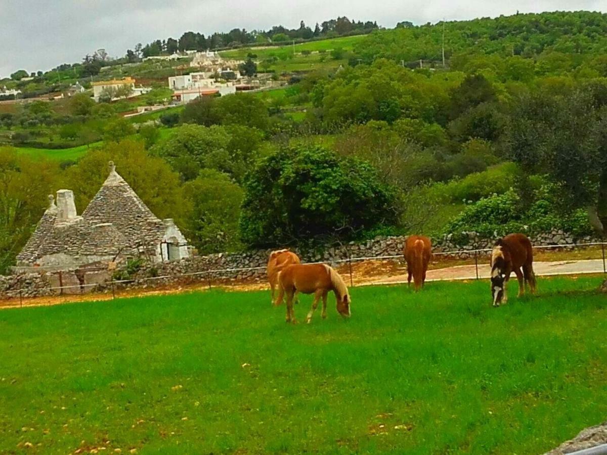 Casa Tra I Trulli Ferienhaus