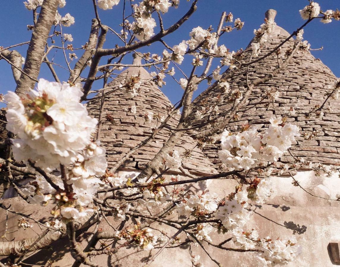 Ferienhaus Casa Tra I Trulli Martina Franca
