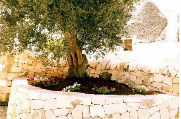 Casa Tra I Trulli