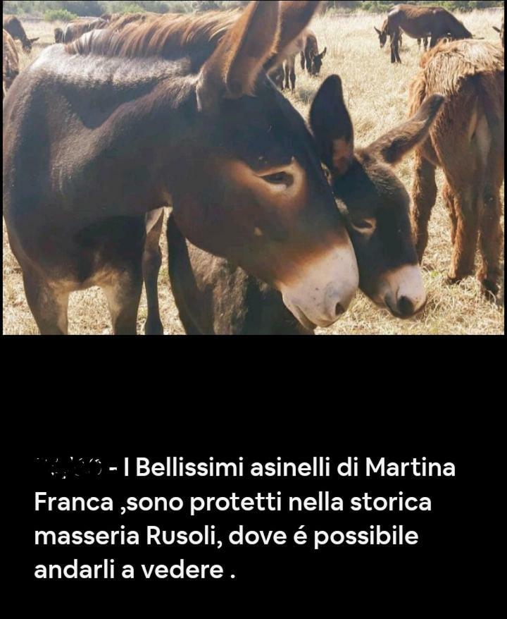 Casa Tra I Trulli Ferienhaus